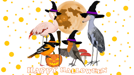 Funny Halloween Bird Designs & Decor