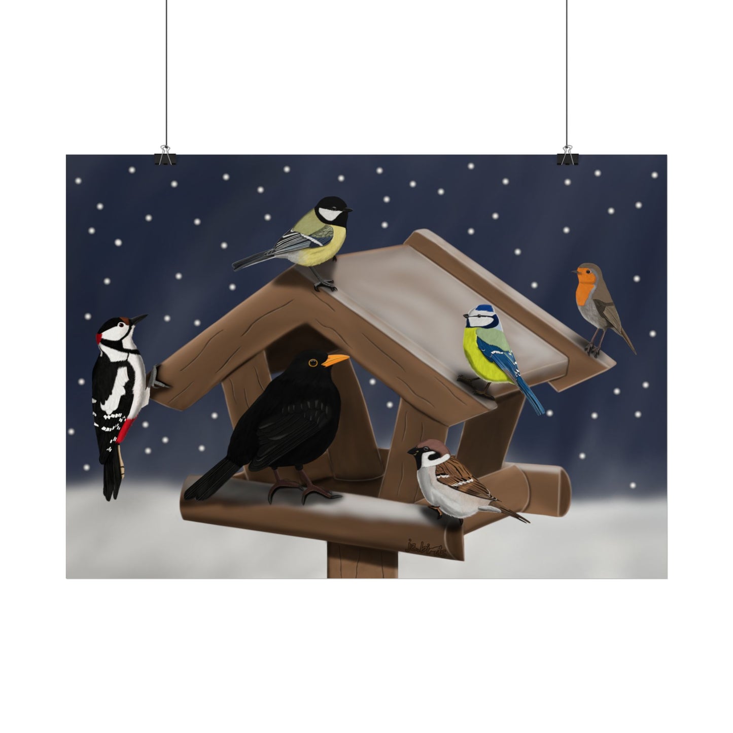 Amsel Blaumeise Rotkehlchen Kohlmeise Spatz Specht am Vogelfutterhaus im Schnee Vogel Poster