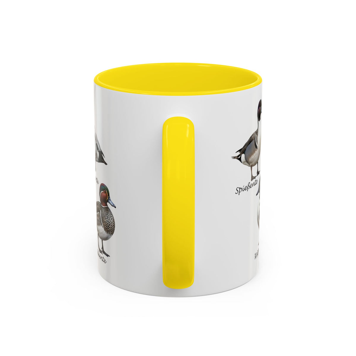 Tasse mit Entenarten: Stockente, Mandarinente & Co. | Farbiger Henkel | Vogelkunde