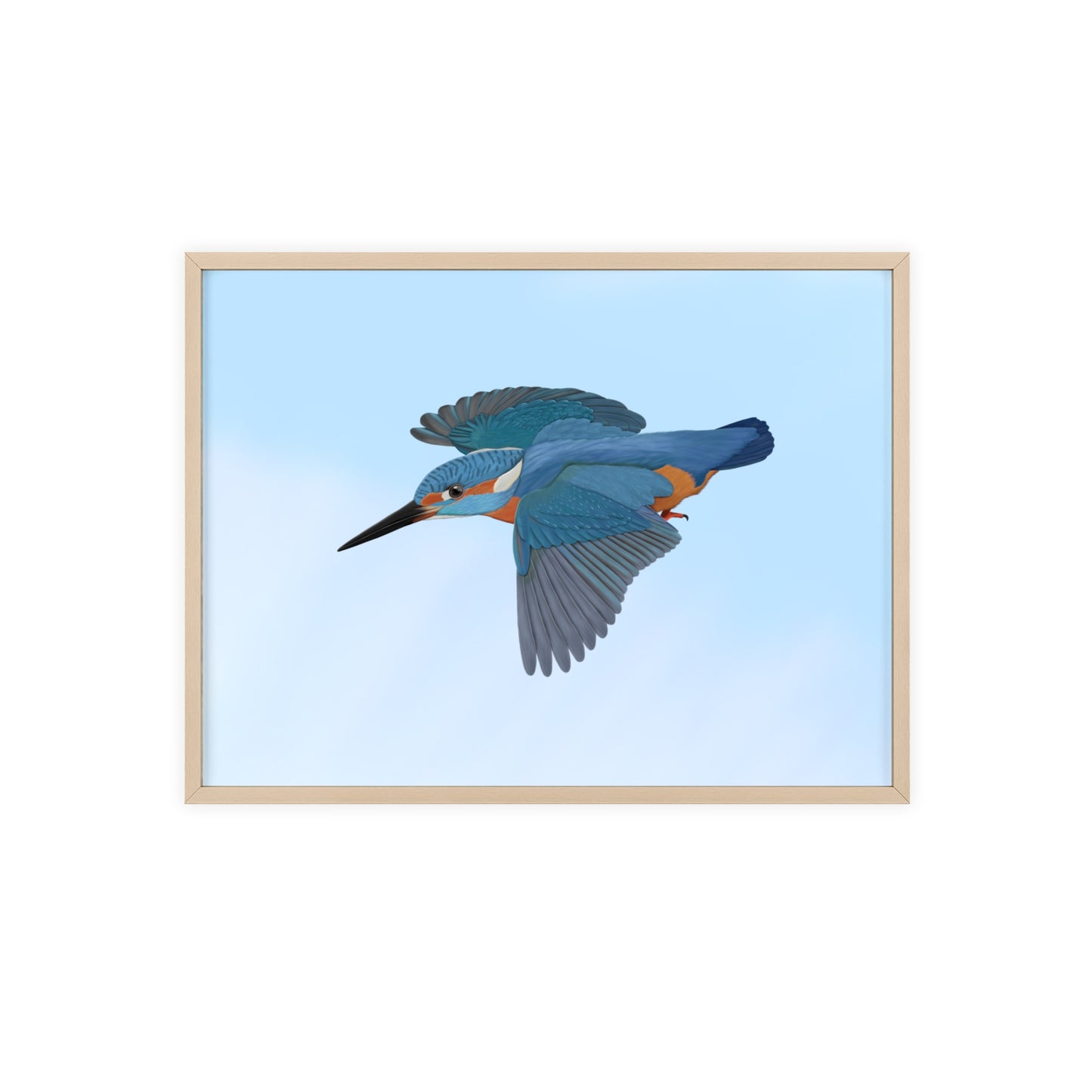 Vogel Poster im Holzrahmen - Eisvogel Poster Gartenvogel Singvogel