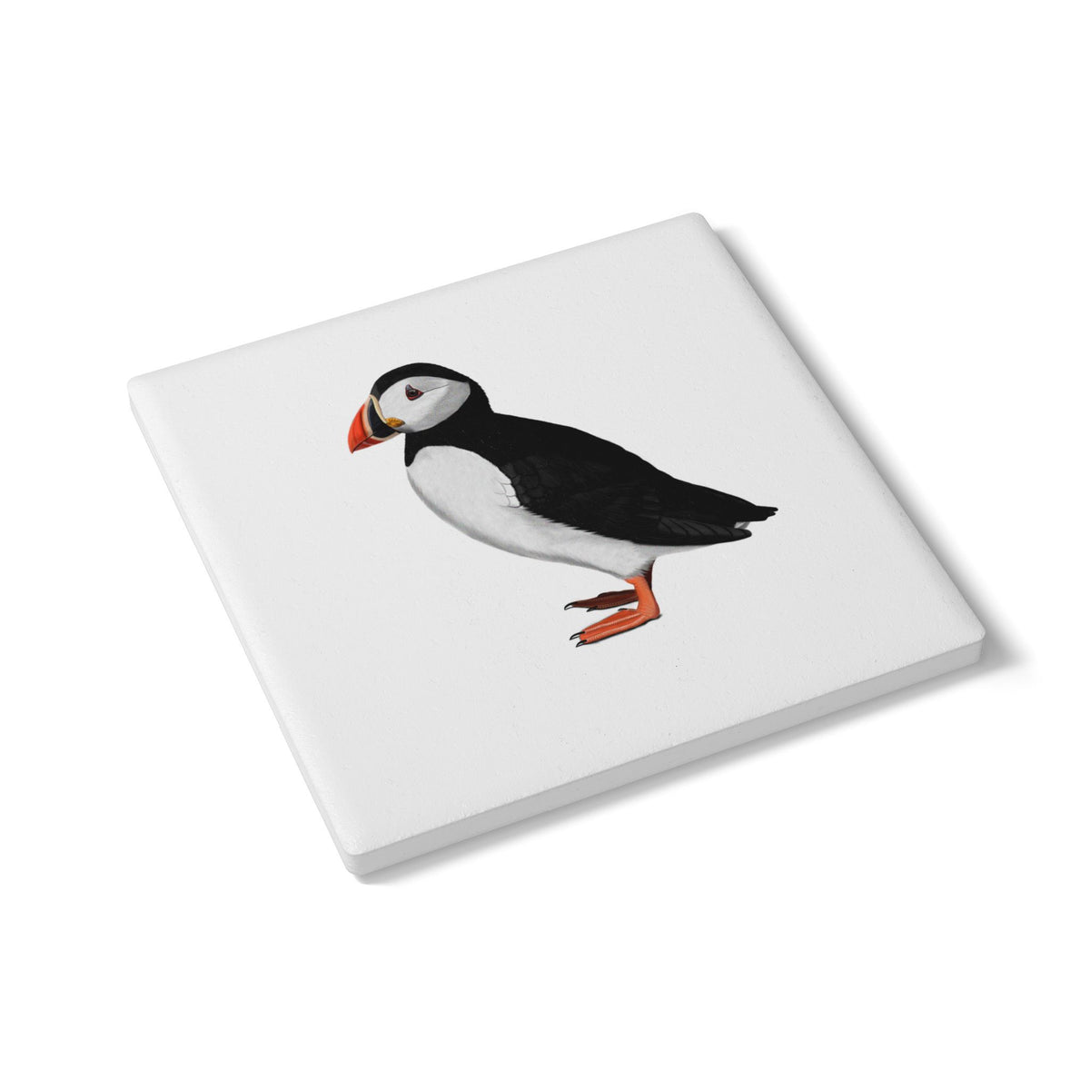 Papageitaucher Keramik Untersetzer mit bird design Hintergrund