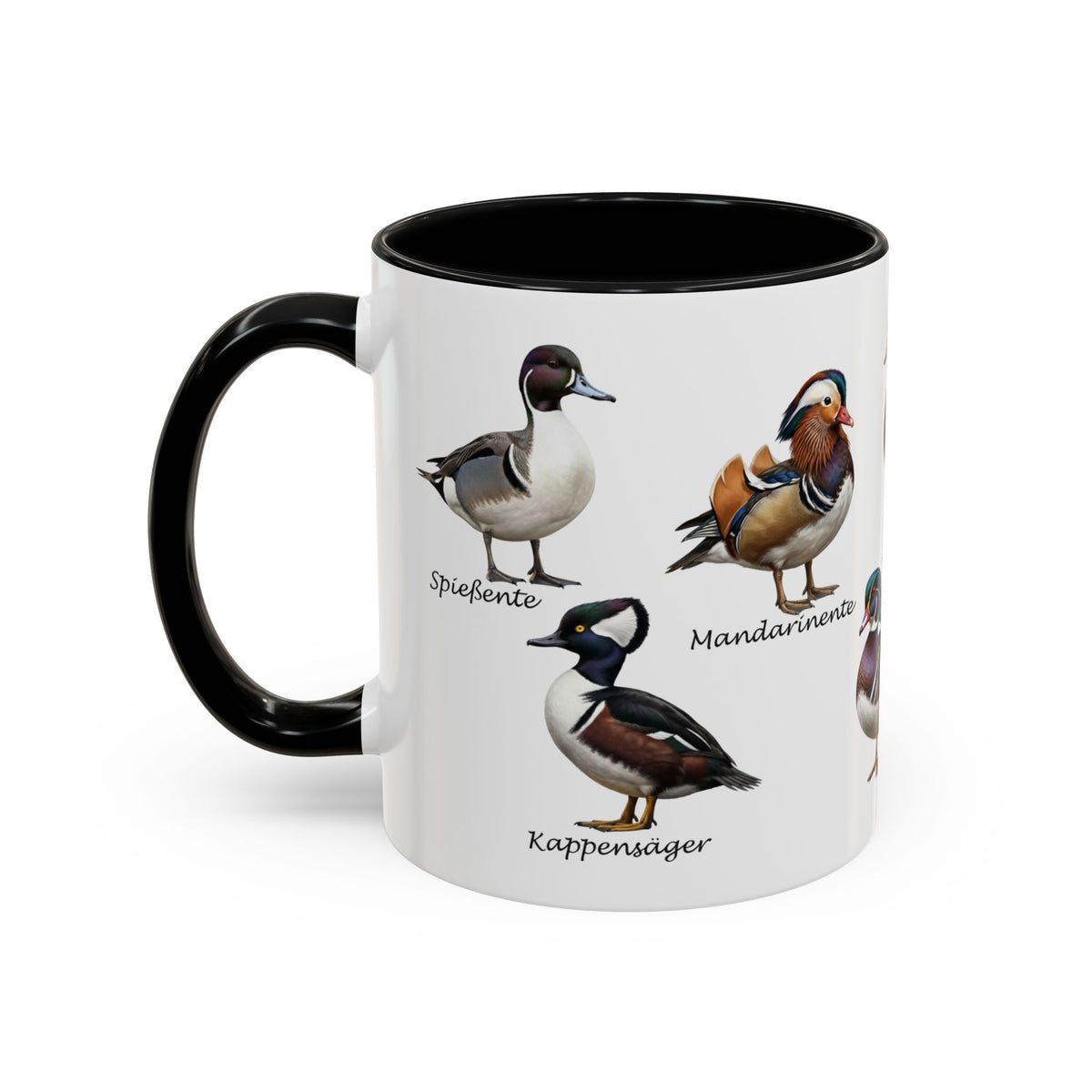 Tasse mit Entenarten: Stockente, Mandarinente & Co. | Farbiger Henkel Vogelkunde – Accent Coffee Mug,