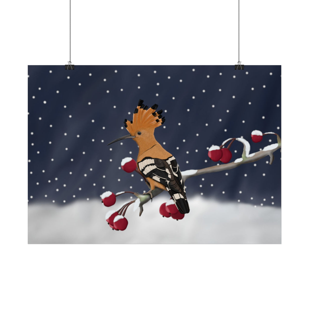 Wiedehopf auf einem Ast im Schnee Vogel Poster – Glossy,