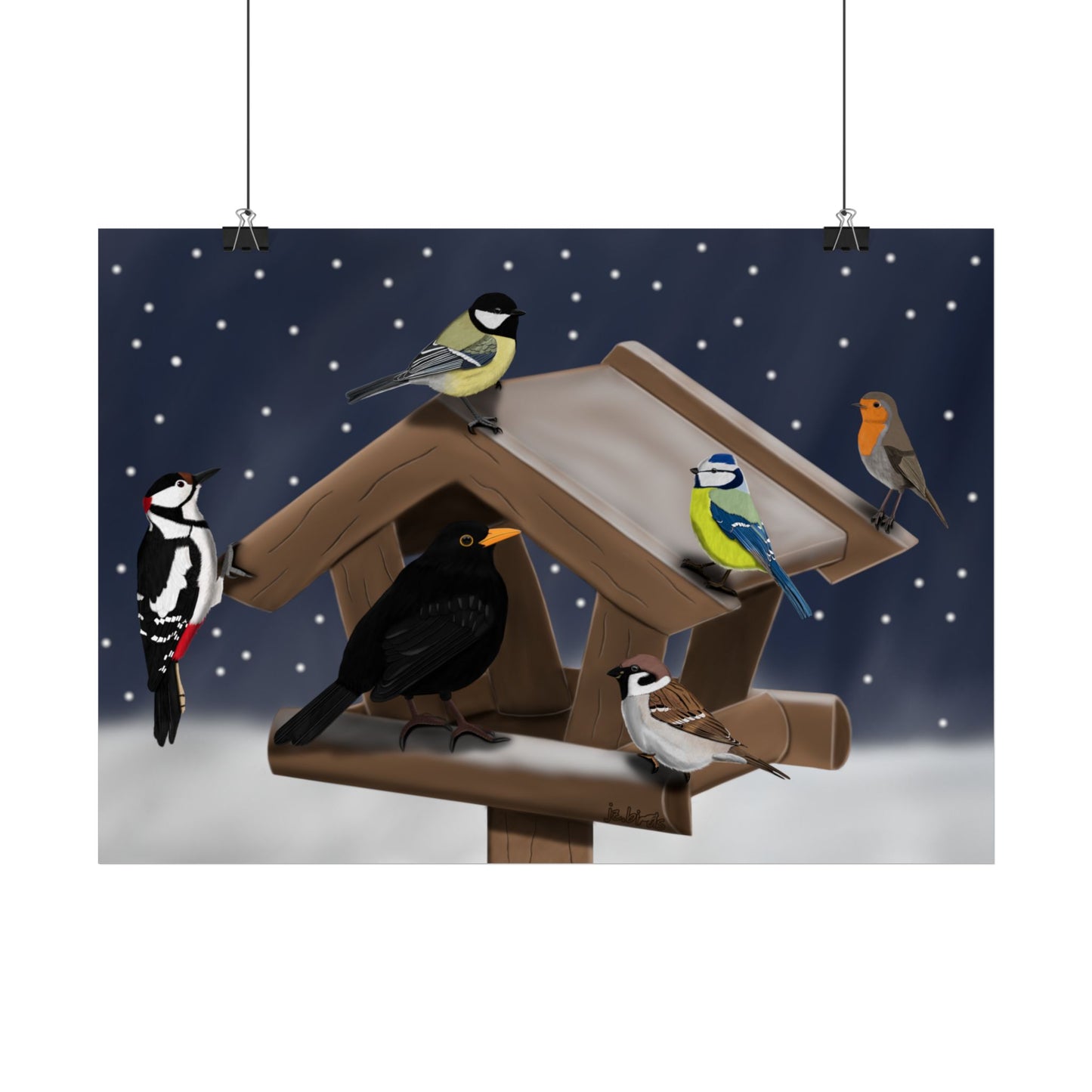 Rotkehlchen, Blaumeise, Kohlmeise, Specht, Amsel und Spatz Vogel Poster – am Vogelfutterhaus im Schnee