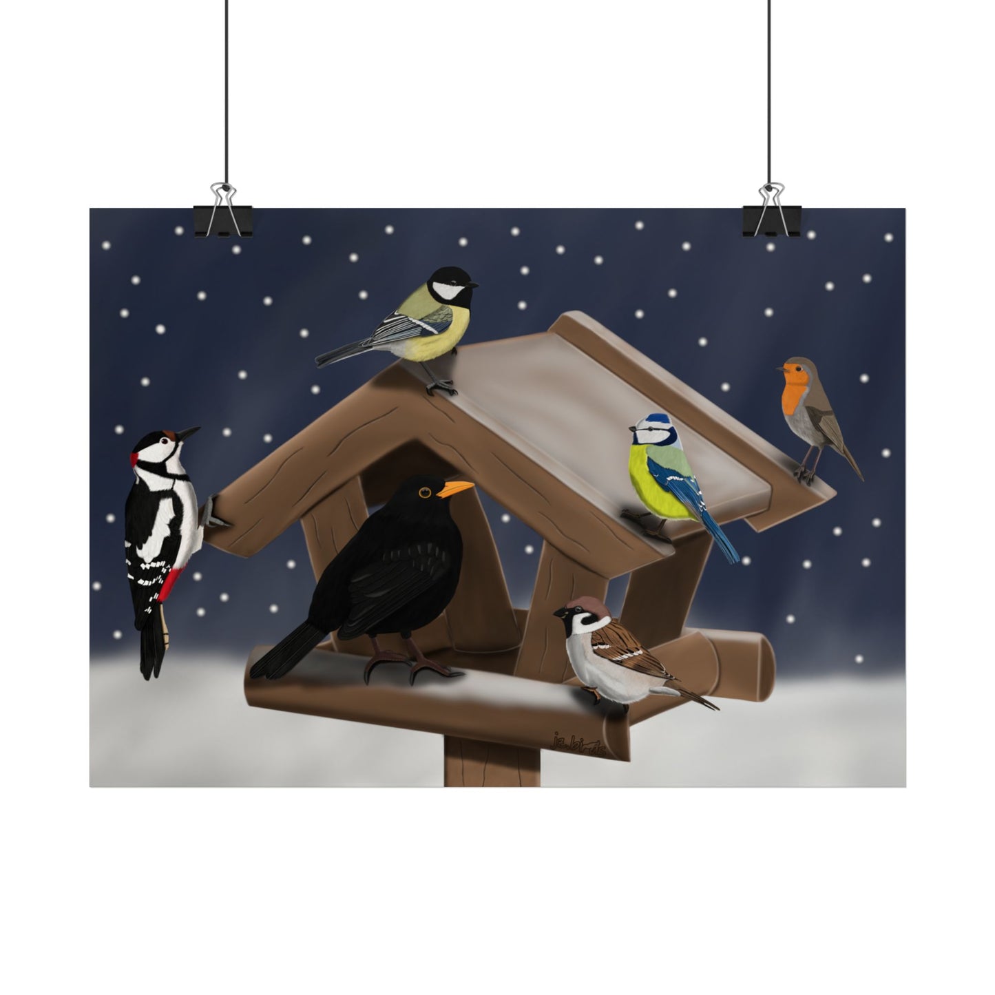 Rotkehlchen, Blaumeise, Kohlmeise, Specht, Amsel und Spatz Vogel Poster – de, Glossy