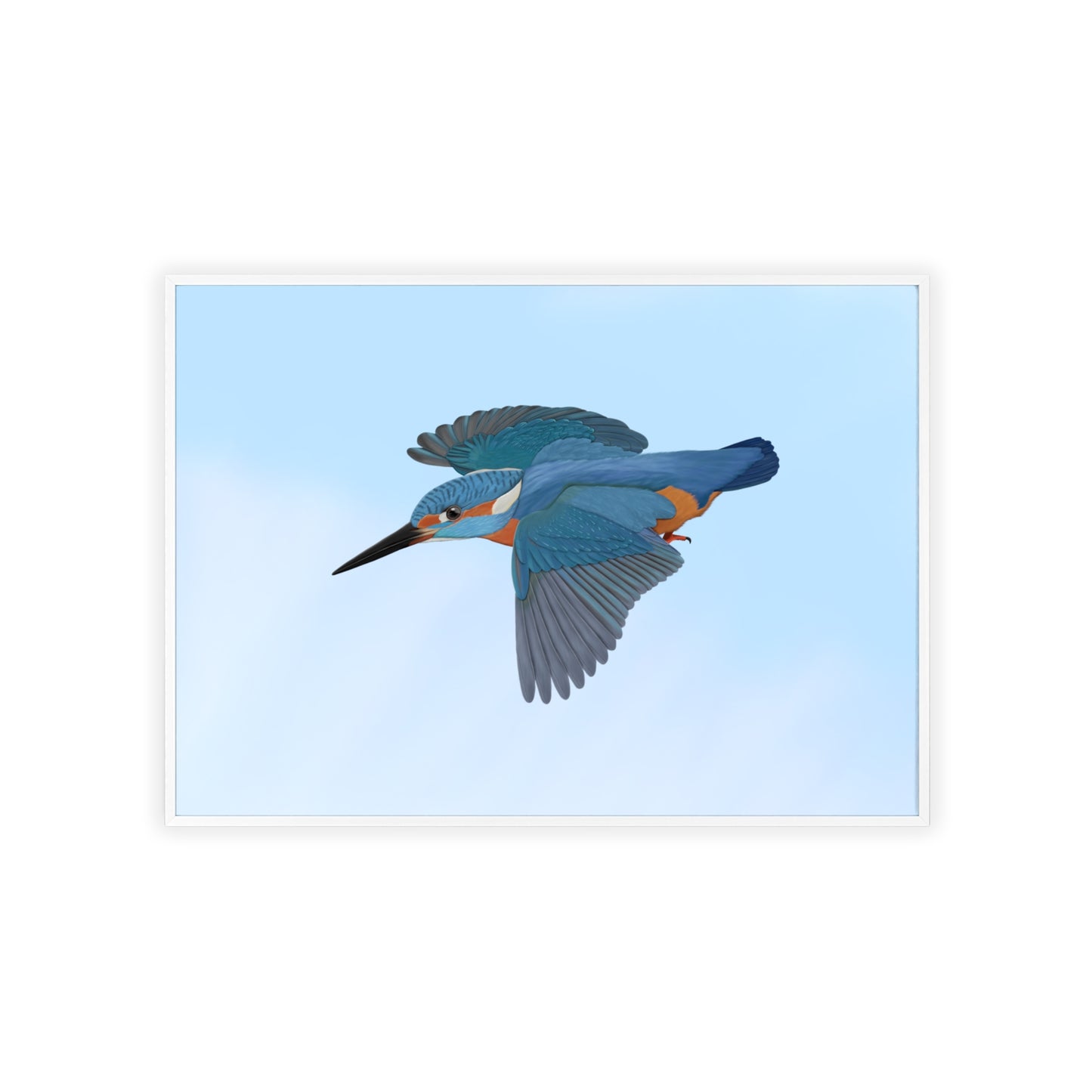 Vogel Poster im Holzrahmen - Eisvogel Poster Gartenvogel Singvogel