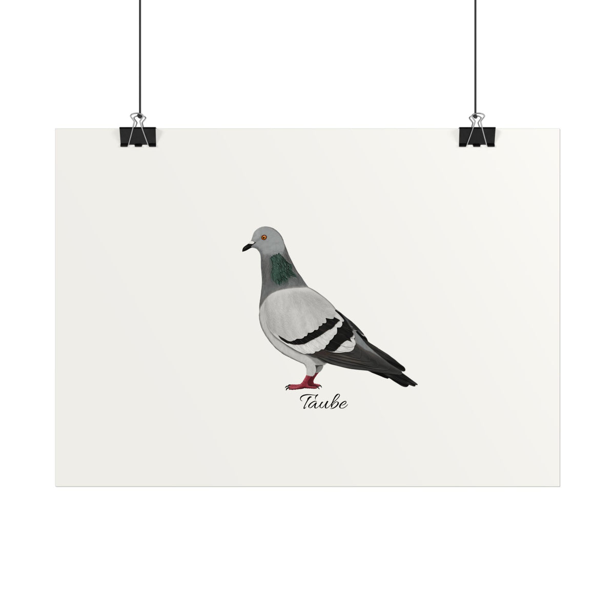 Taube Vogel Poster – Glossy, Home & Living