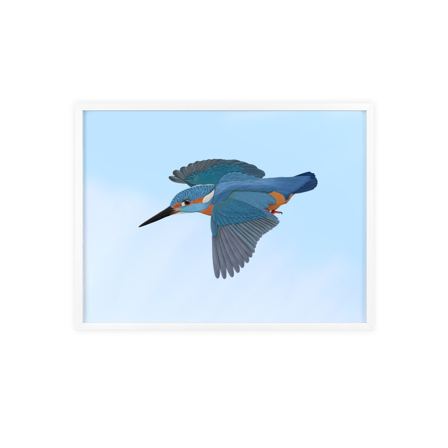 Vogel Poster im Holzrahmen - Eisvogel Poster Gartenvogel Singvogel