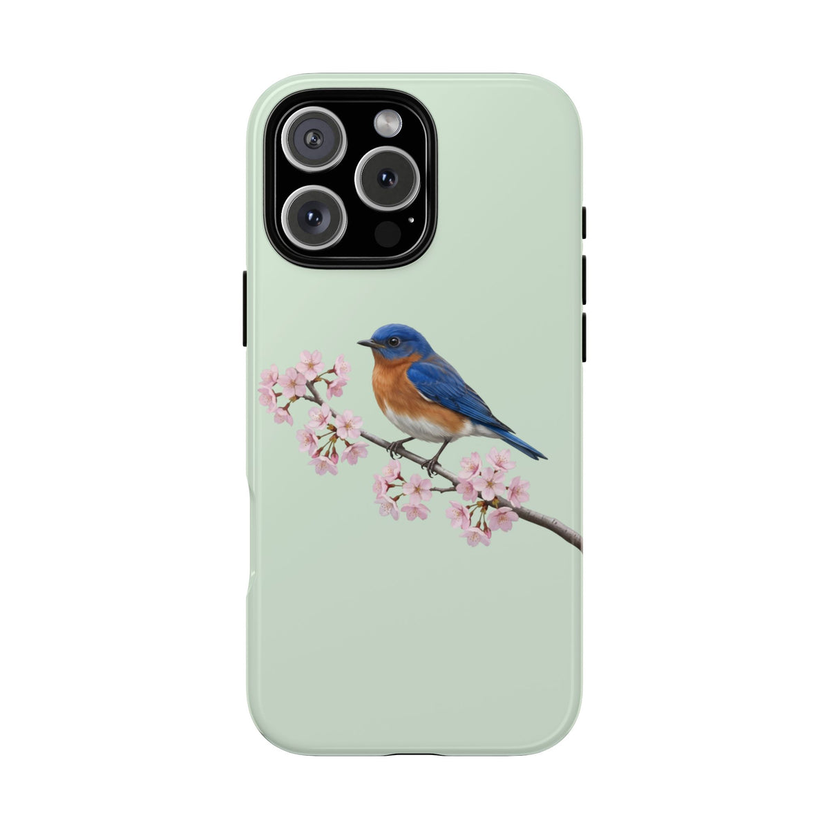 Rotkehl-Hüttensänger Handyhülle in Salbeigrün | Florales Kirschblüten Vogel-Motiv für iPhone & Google Pixel