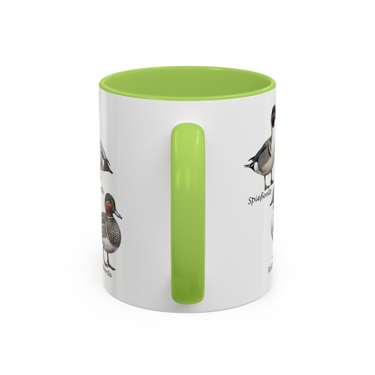 Tasse mit Entenarten: Stockente, Mandarinente & Co. | Farbiger Henkel | Vogelkunde