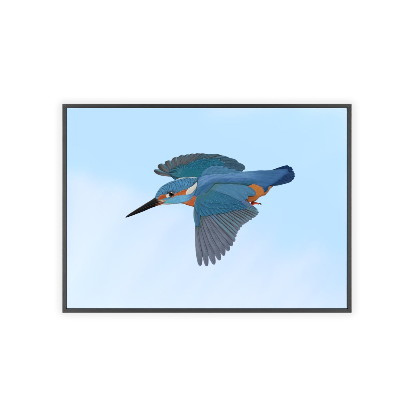 Vogel Poster im Holzrahmen - Eisvogel Poster Gartenvogel Singvogel