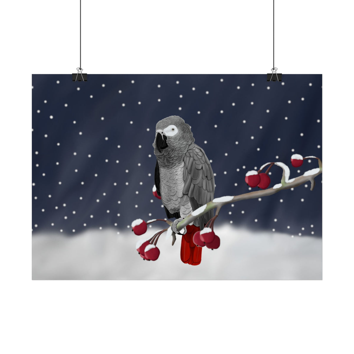 Graupapagei auf einem Vogel Poster – Ast im Schnee