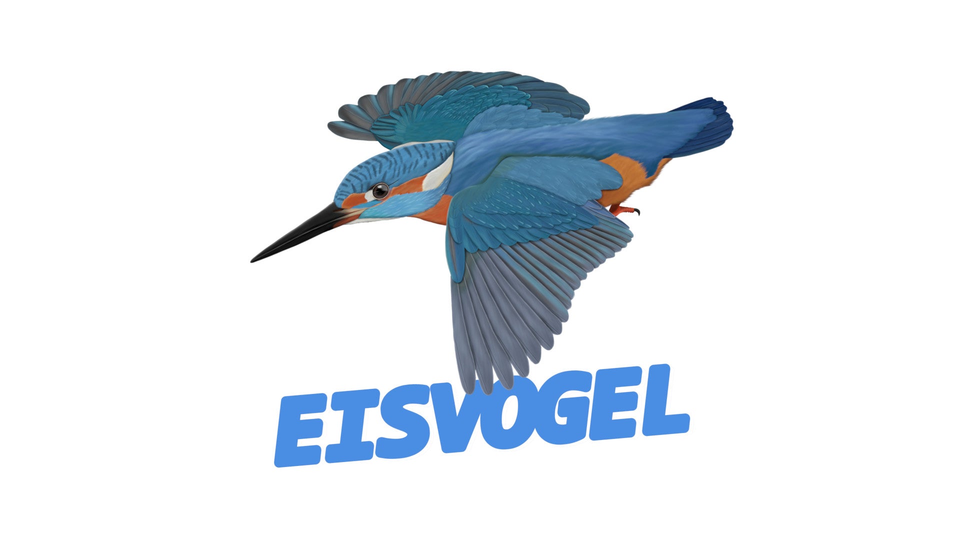 eisvogel zeichnung auf t-shirts, glückwunschkarten, trauerkarten, tassen, kissen, notizbüchern. tolle geschenke für vogel-freunde