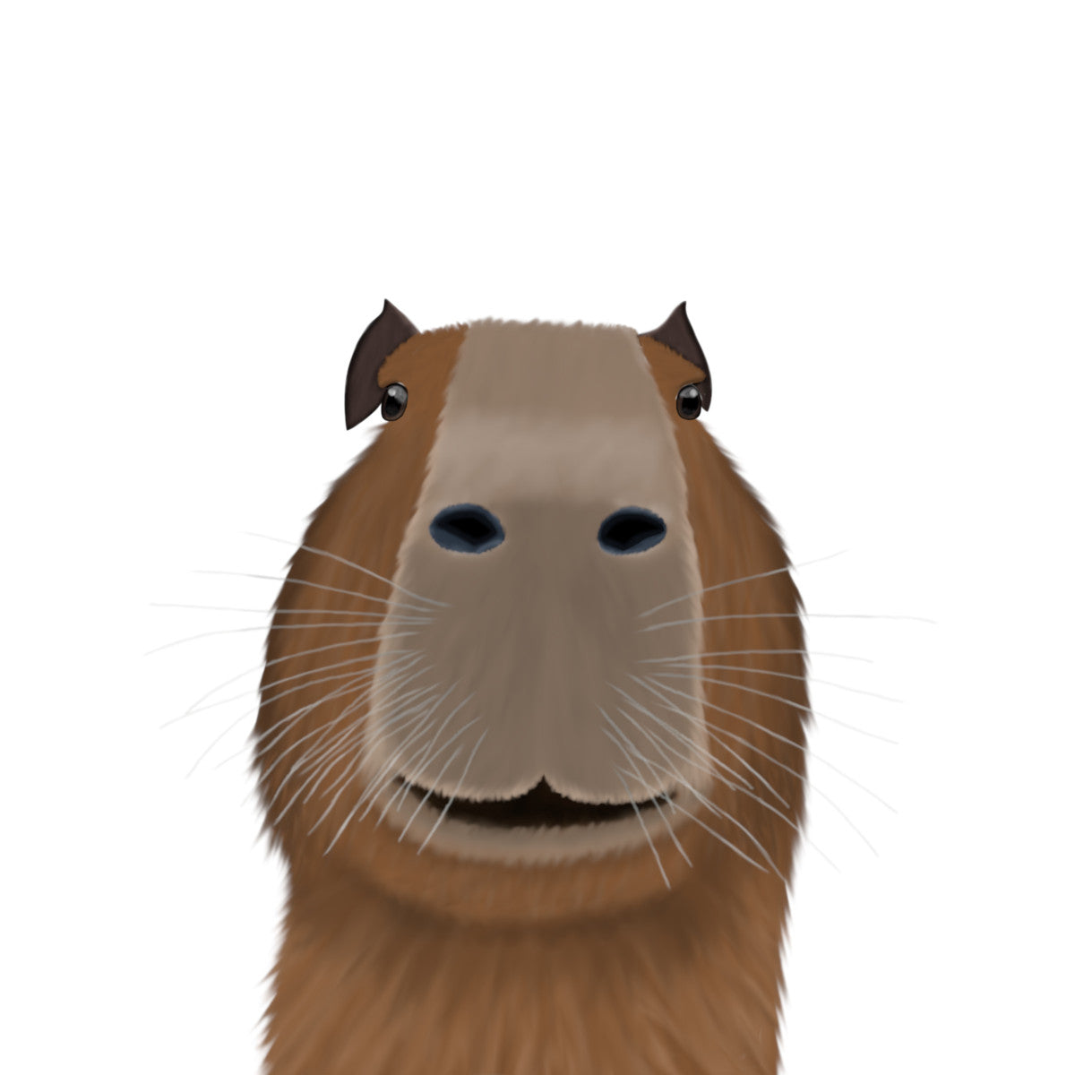 Lustige Capybara Designs - T-Shirts, Tassen & Kissen