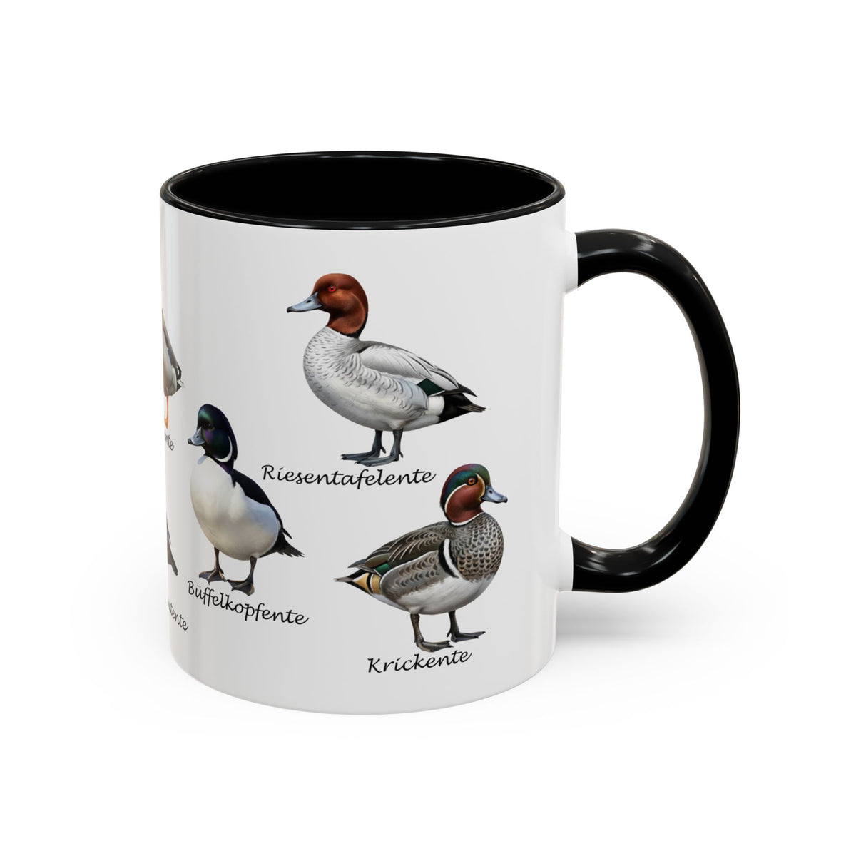 Tasse mit Entenarten: Stockente, Mandarinente & Co. | Farbiger Henkel | Vogelkunde