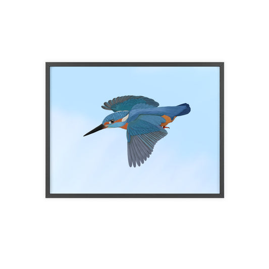 Vogel Poster im Holzrahmen - Eisvogel Poster Gartenvogel Singvogel