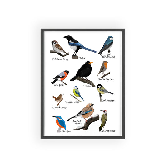 Vogel Poster im Holzrahmen - Gartenvögel Amsel Rotkehlchen Blaumeise