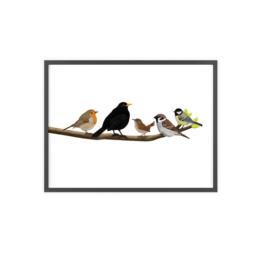 Vogel Poster im Holzrahmen - Vögel auf einem Ast Poster Amsel Rotkehlchen Zaunkönig Spatz Kohlmeise