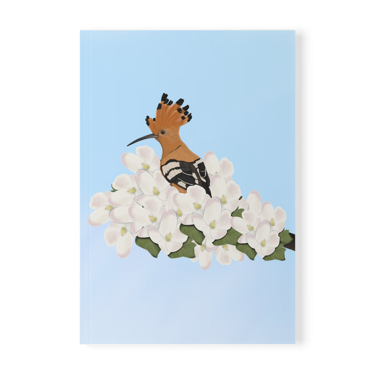 Wiedehopf im Frühling A5 Vogel Softcover Notizbuch 150 Seiten Liniert