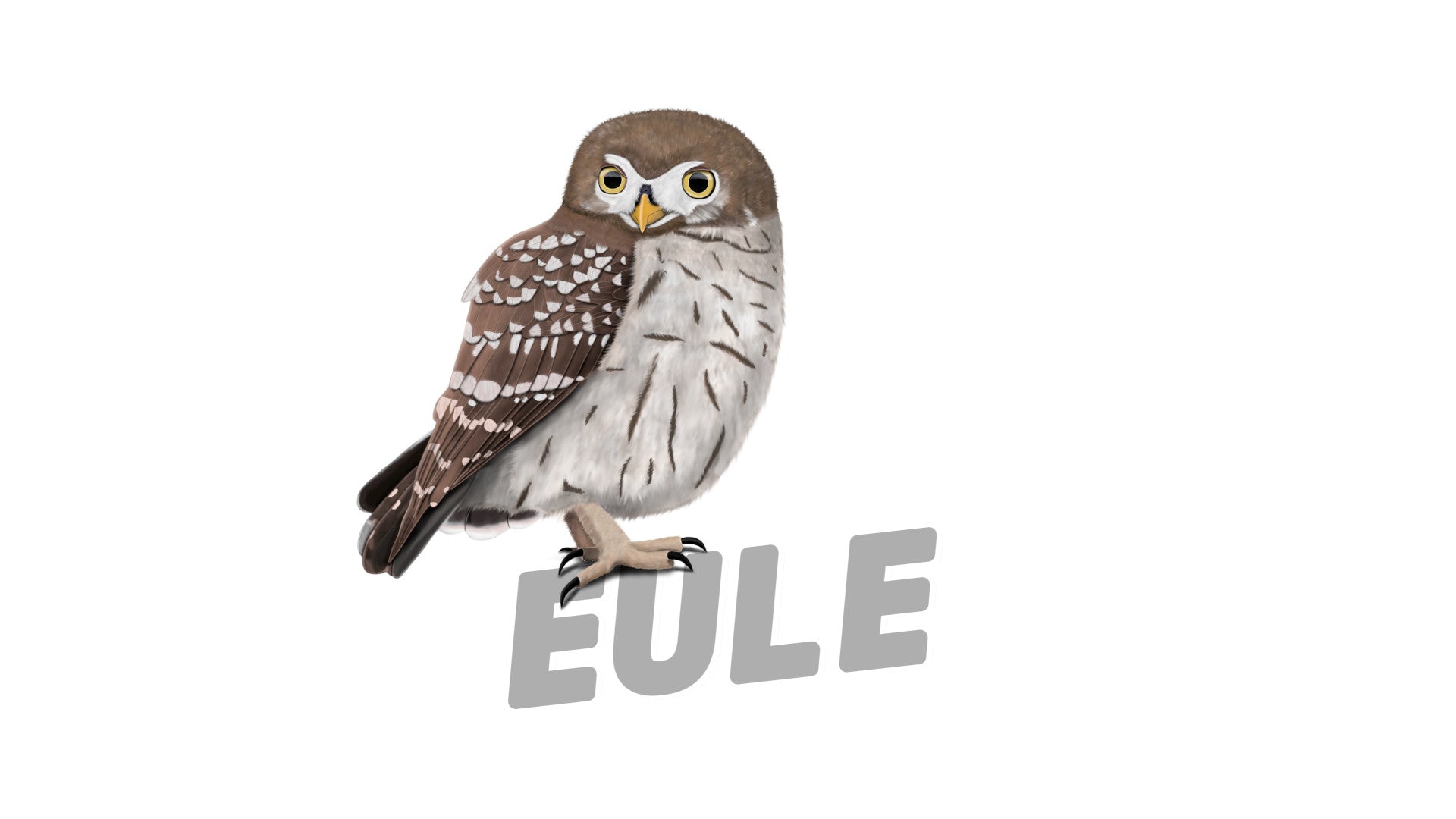 eule zeichnung auf t-shirts, glückwunschkarten, trauerkarten, tassen, kissen, notizbüchern. tolle geschenke für vogel-freunde