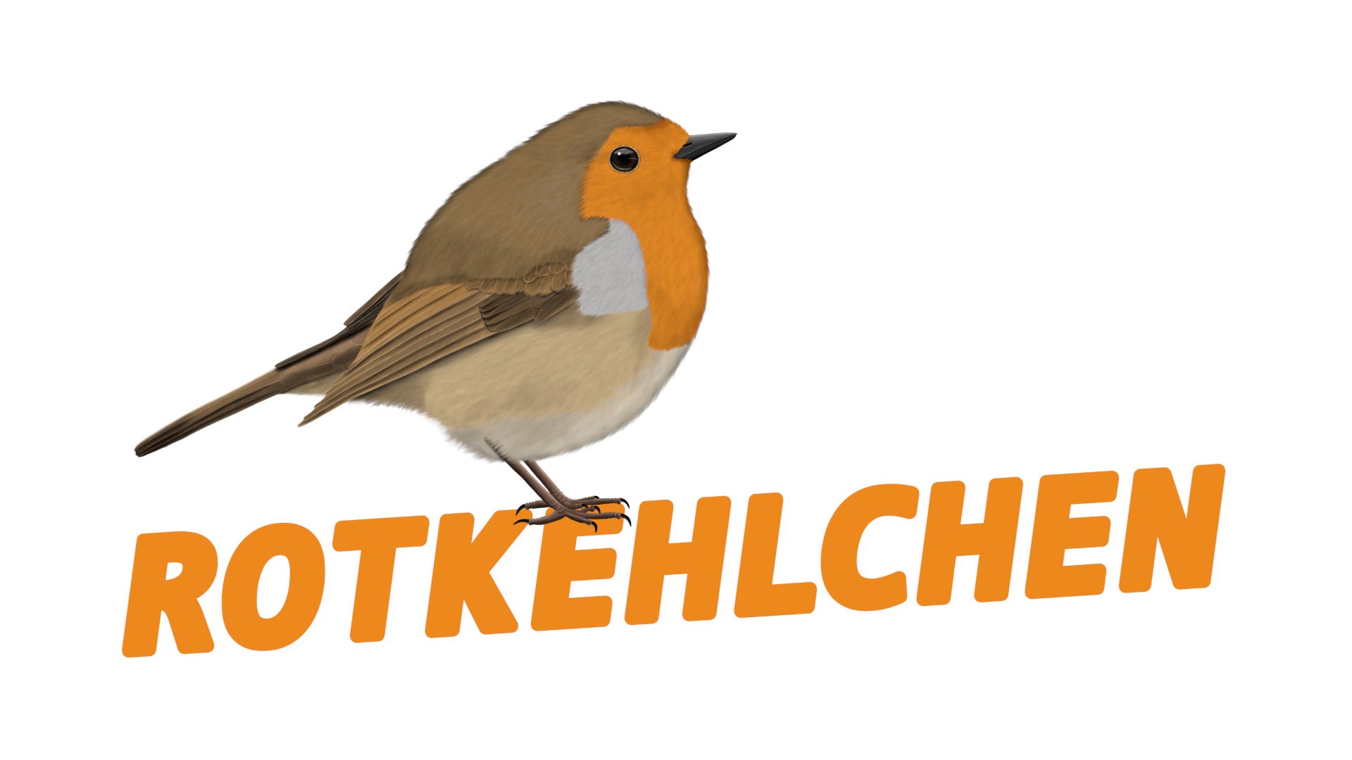 rotkehlchen zeichnung auf t-shirts, glückwunschkarten, trauerkarten, tassen, kissen geschenke mit vogelmotiven