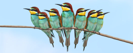 European Bee-eater Art: Unique Bird Lover Gifts & Apparel