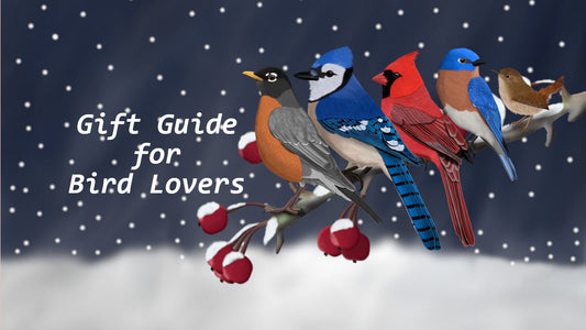 gift guide for bird lovers, cardinal, blue jay, robin, bluebird, tshirts, sweatshirts, hoodies, mugs