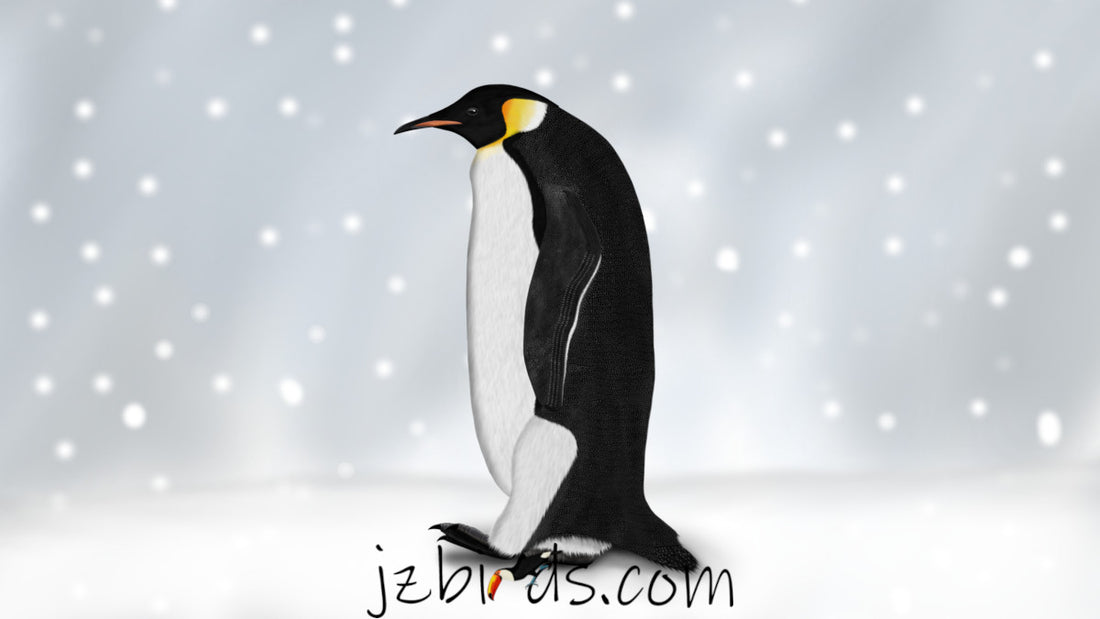 The Emperor Penguin