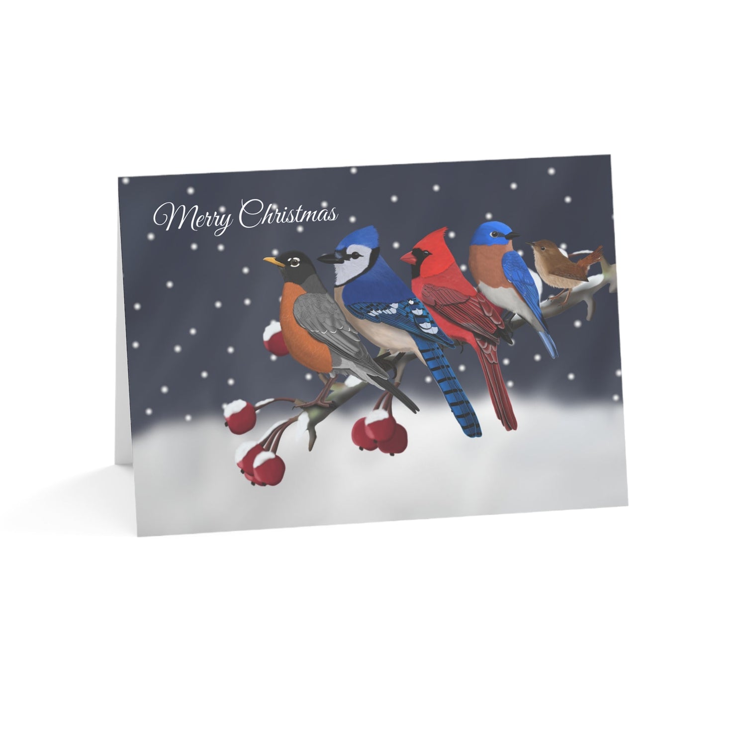 bird art christmas card american robin blue jay cardinal bluebird wren