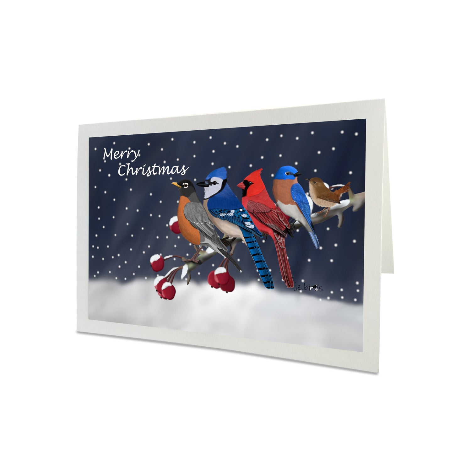 robin blue jay cardinal bluebird Merry Christmas Bird Greeting Card