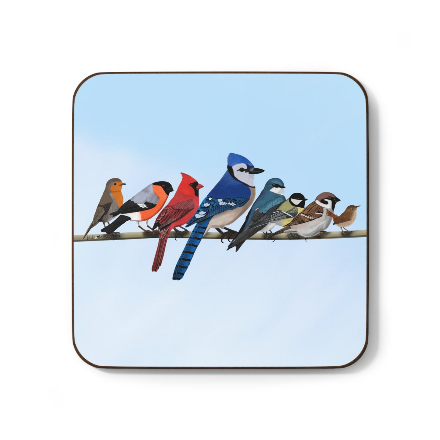 bird art coasters
