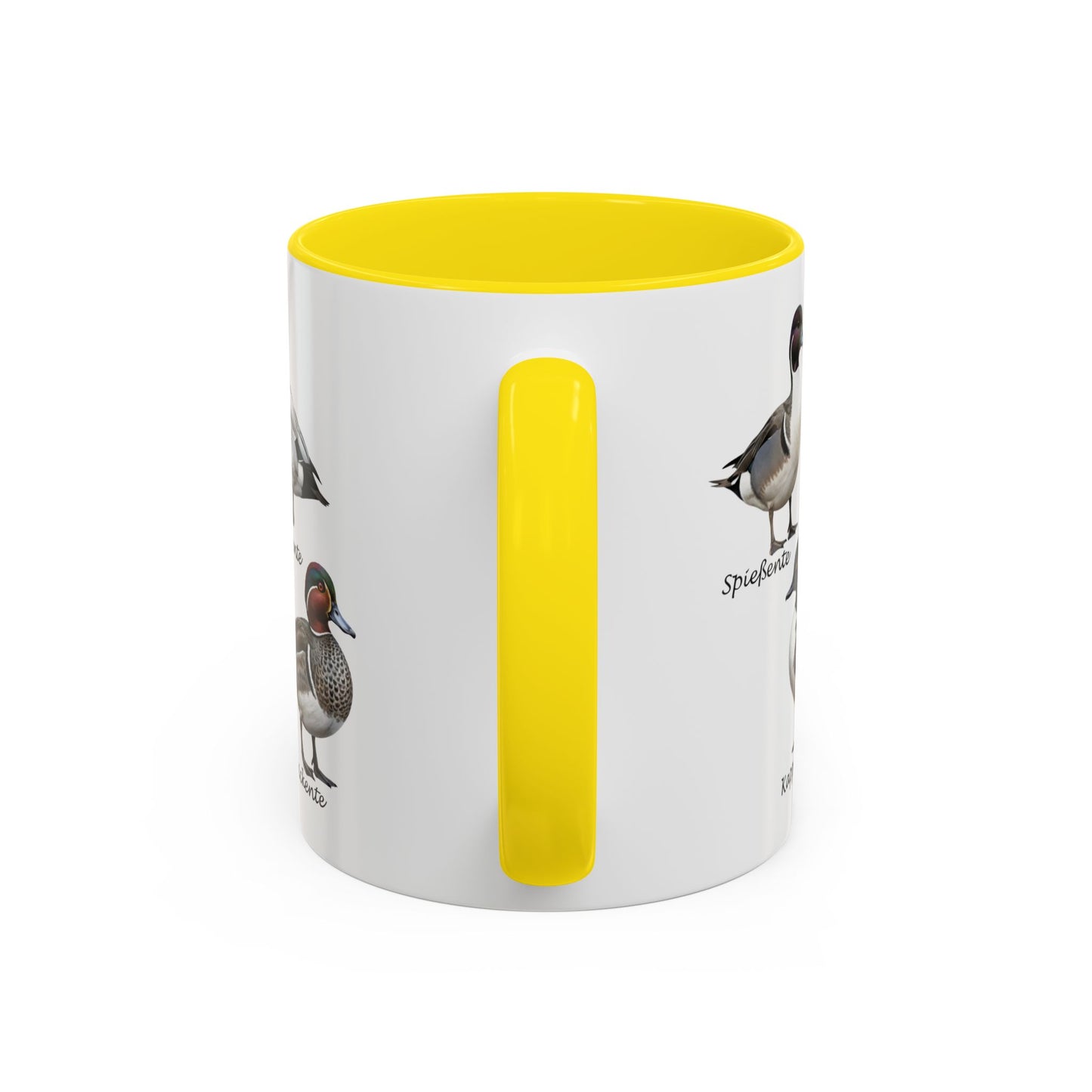 Tasse mit Entenarten: Stockente, Mandarinente & Co. | Farbiger Henkel | Vogelkunde