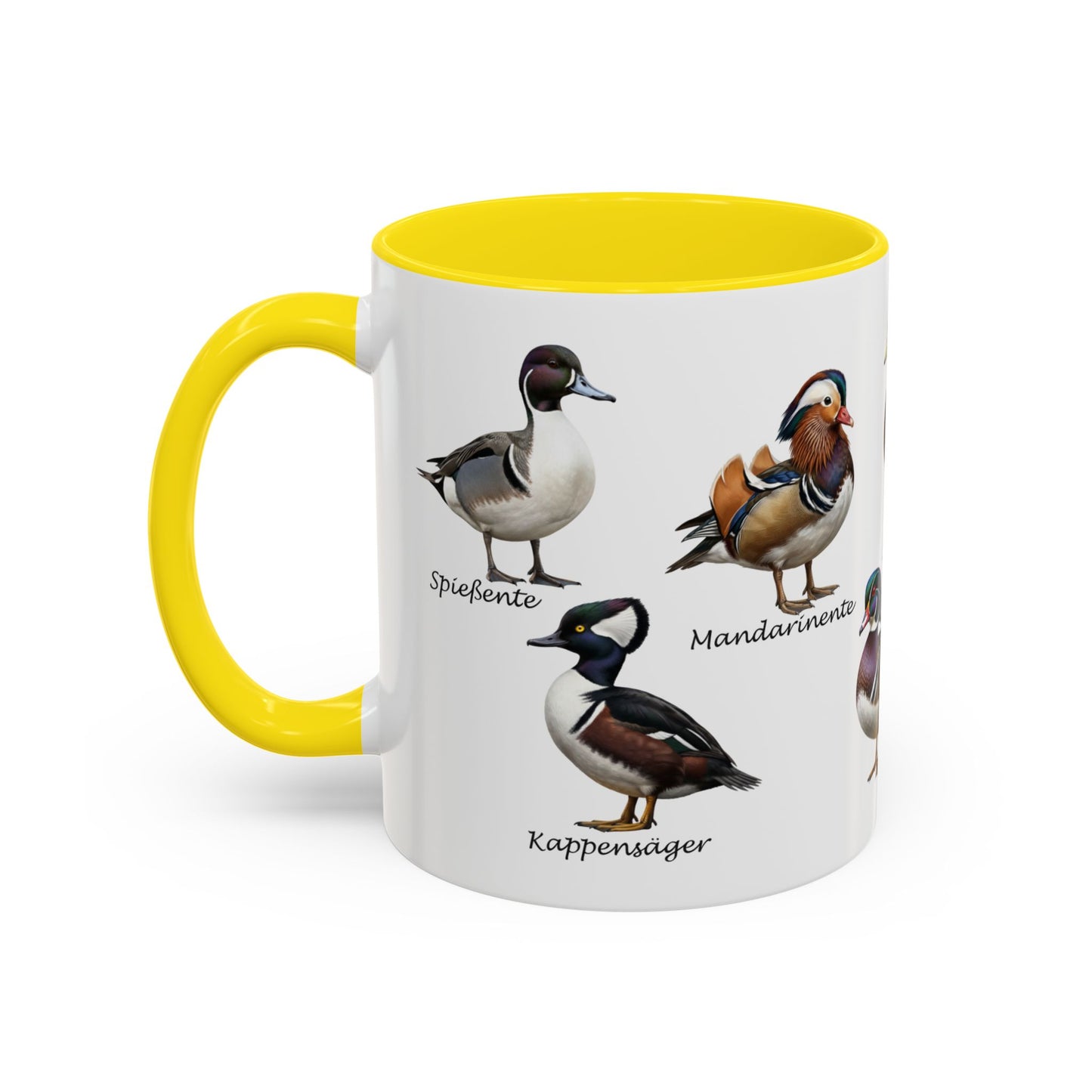 Tasse mit Entenarten: Stockente, Mandarinente & Co. | Farbiger Henkel | Vogelkunde