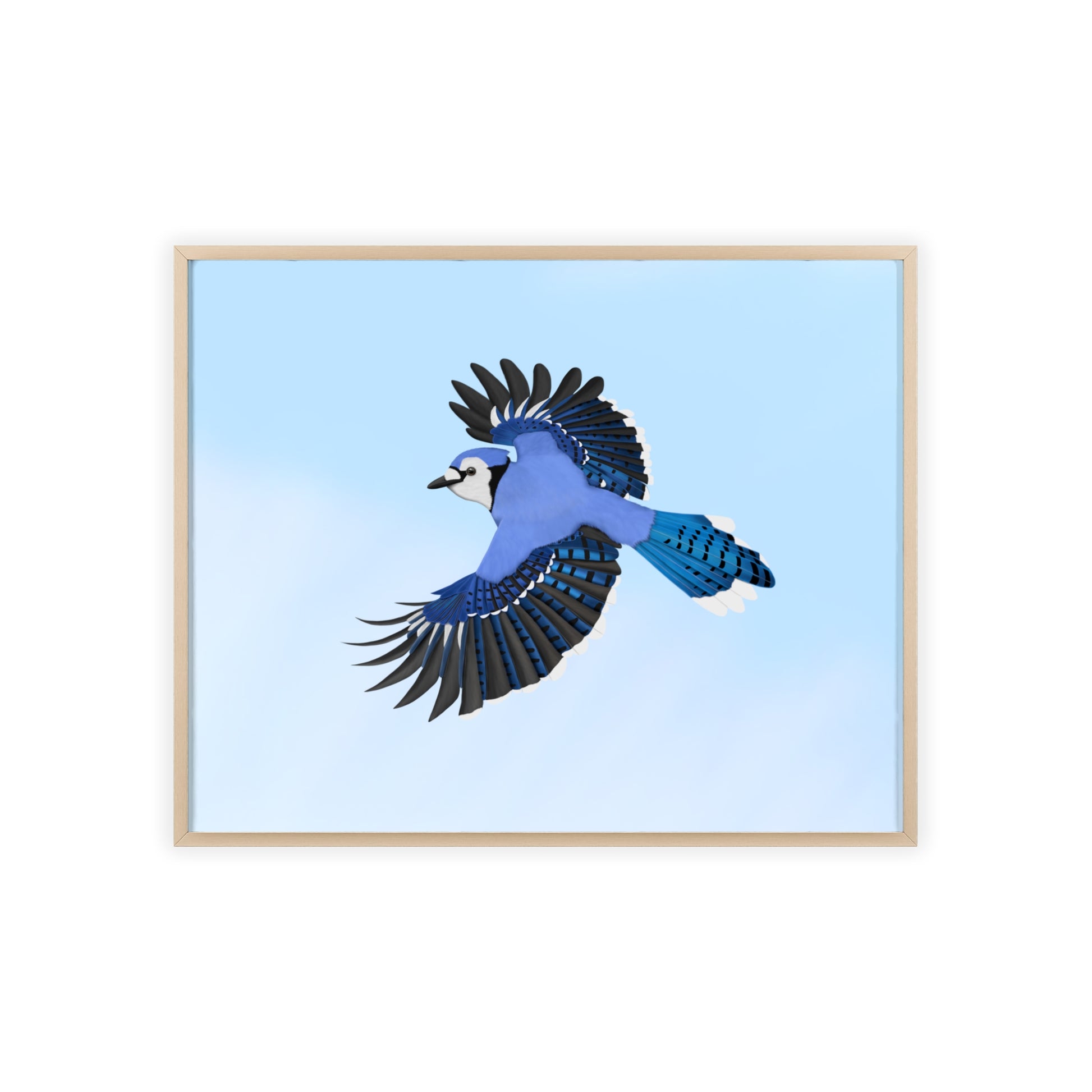 Vogel Poster im Holzrahmen - Blue Jay Gartenvogel Singvogel – Animal Decor, mit