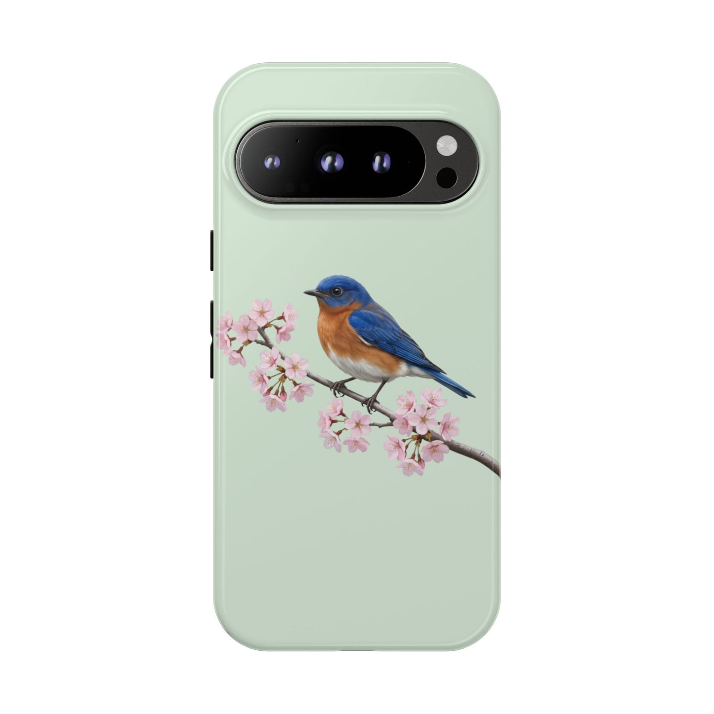 Rotkehl-Hüttensänger Handyhülle in Salbeigrün | Florales Kirschblüten Vogel-Motiv für iPhone & Google Pixel
