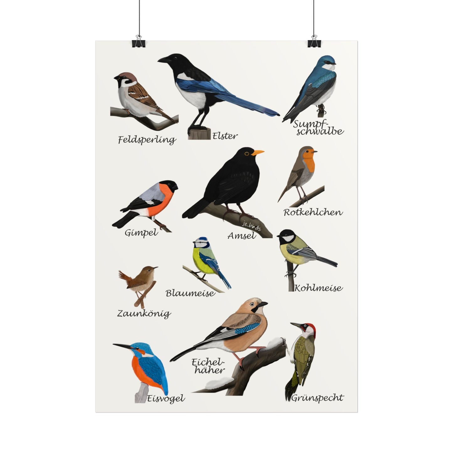 Amsel Blaumeise Rotkehlchen Kohlmeise Eisvogel Gartenvogel Poster