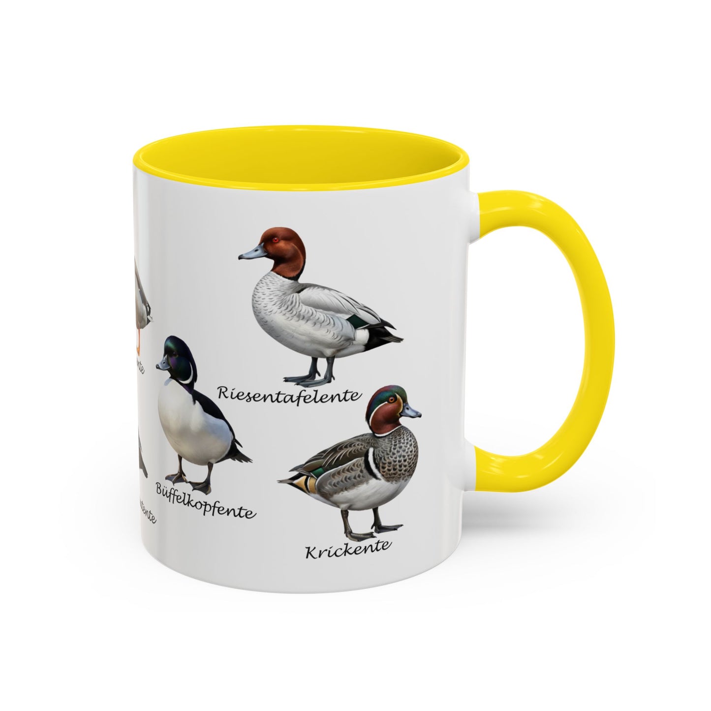 Tasse mit Entenarten: Stockente, Mandarinente & Co. | Farbiger Henkel | Vogelkunde