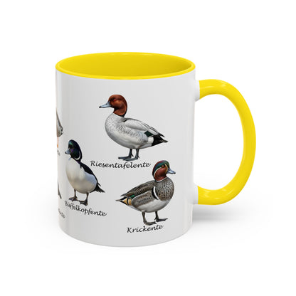 Tasse mit Entenarten: Stockente, Mandarinente & Co. | Farbiger Henkel | Vogelkunde