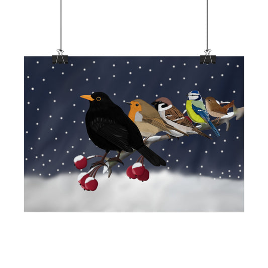 Amsel Rotkehlchen Blaumeise Spatz Zaunkönig Poster mit Gartenvögeln im Schnee