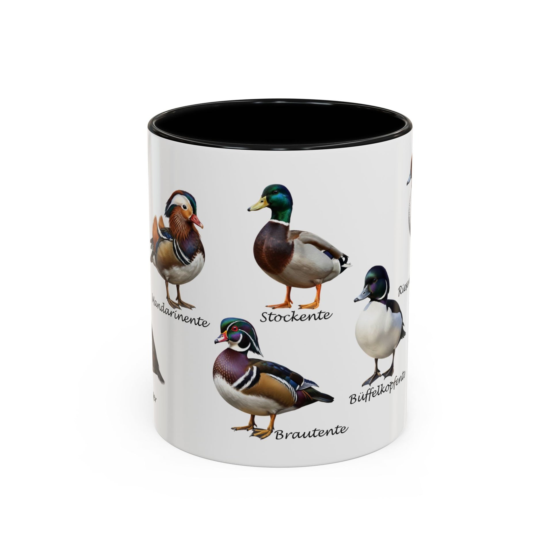 Tasse mit Entenarten: Stockente, Mandarinente & Co. | Farbiger Henkel | Vogelkunde