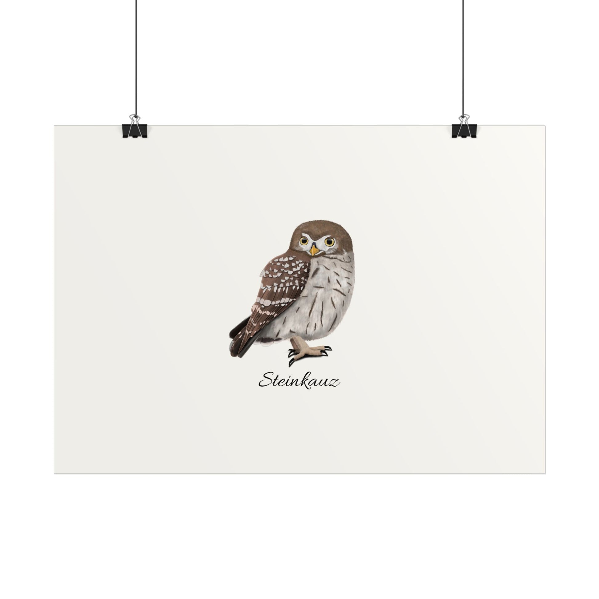 Kauz Vogel Poster – Glossy und Home & Living Stil