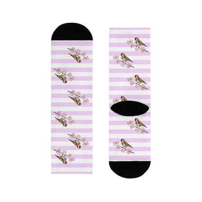 Stieglitz Socken mit Accessories Hintergrund