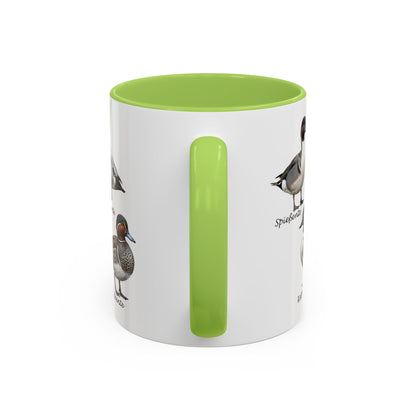 Tasse mit Entenarten: Stockente, Mandarinente & Co. | Farbiger Henkel | Vogelkunde