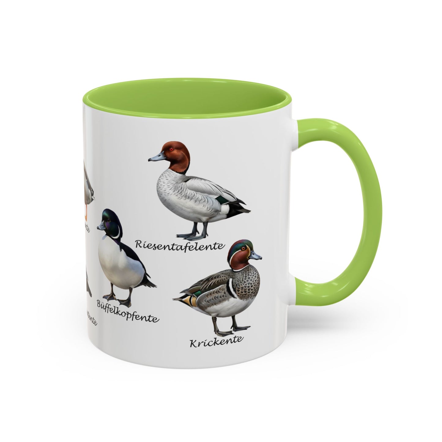 Tasse mit Entenarten: Stockente, Mandarinente & Co. | Farbiger Henkel | Vogelkunde