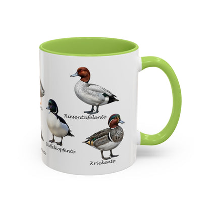 Tasse mit Entenarten: Stockente, Mandarinente & Co. | Farbiger Henkel | Vogelkunde
