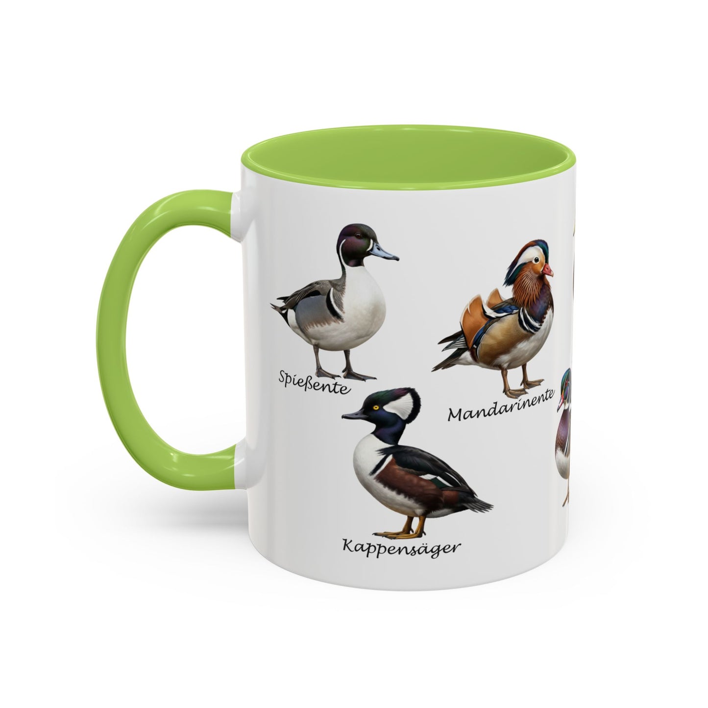 Tasse mit Entenarten: Stockente, Mandarinente & Co. | Farbiger Henkel | Vogelkunde