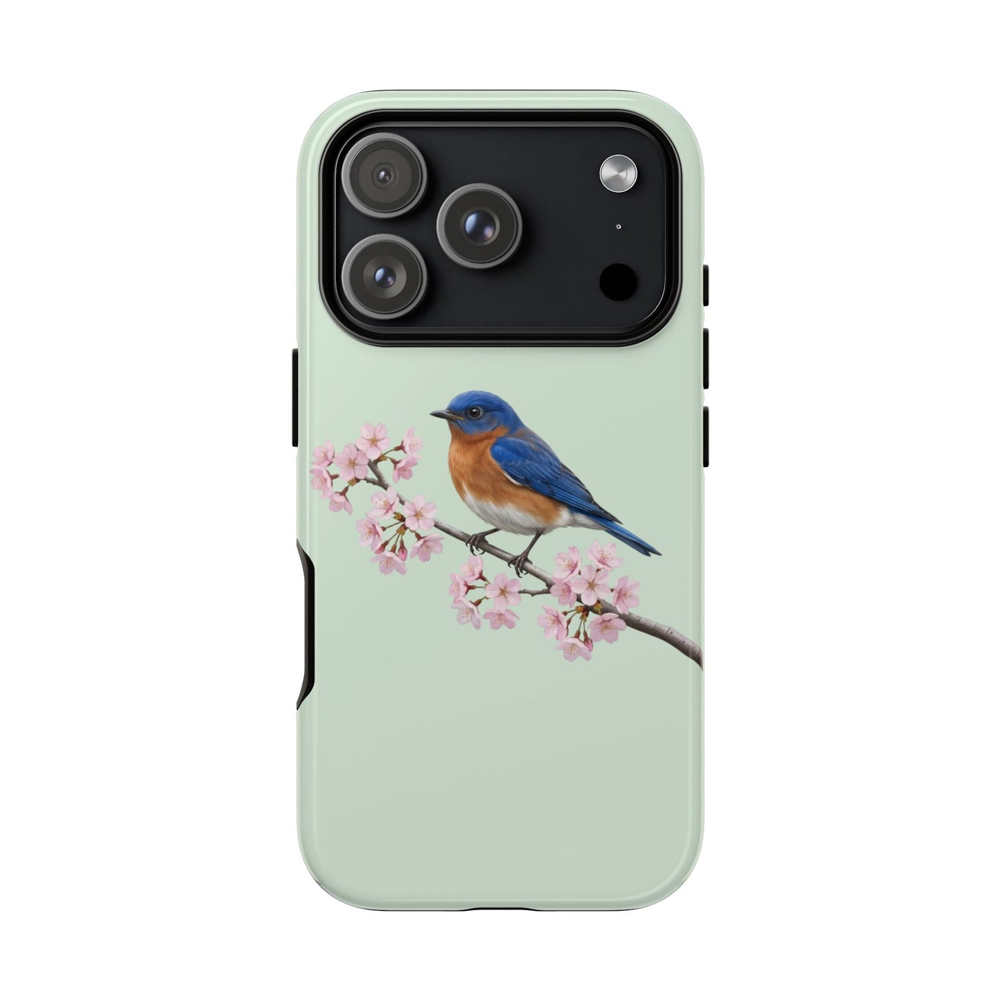 Rotkehl-Hüttensänger Handyhülle in Salbeigrün | Florales Kirschblüten Vogel-Motiv für iPhone & Google Pixel