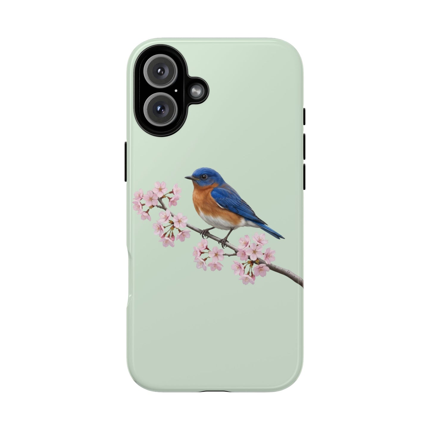 Rotkehl-Hüttensänger Handyhülle in Salbeigrün | Florales Kirschblüten Vogel-Motiv für iPhone & Google Pixel