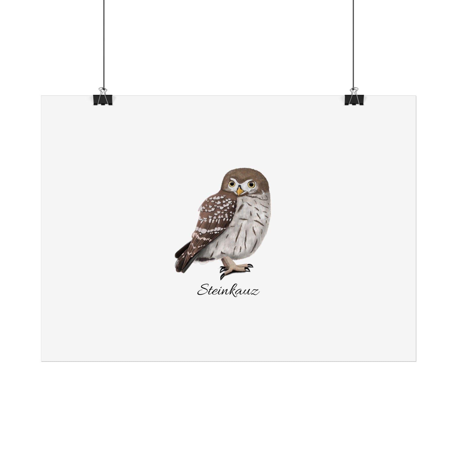Kauz Vogel Poster – Eule Steinkauz Weiß
