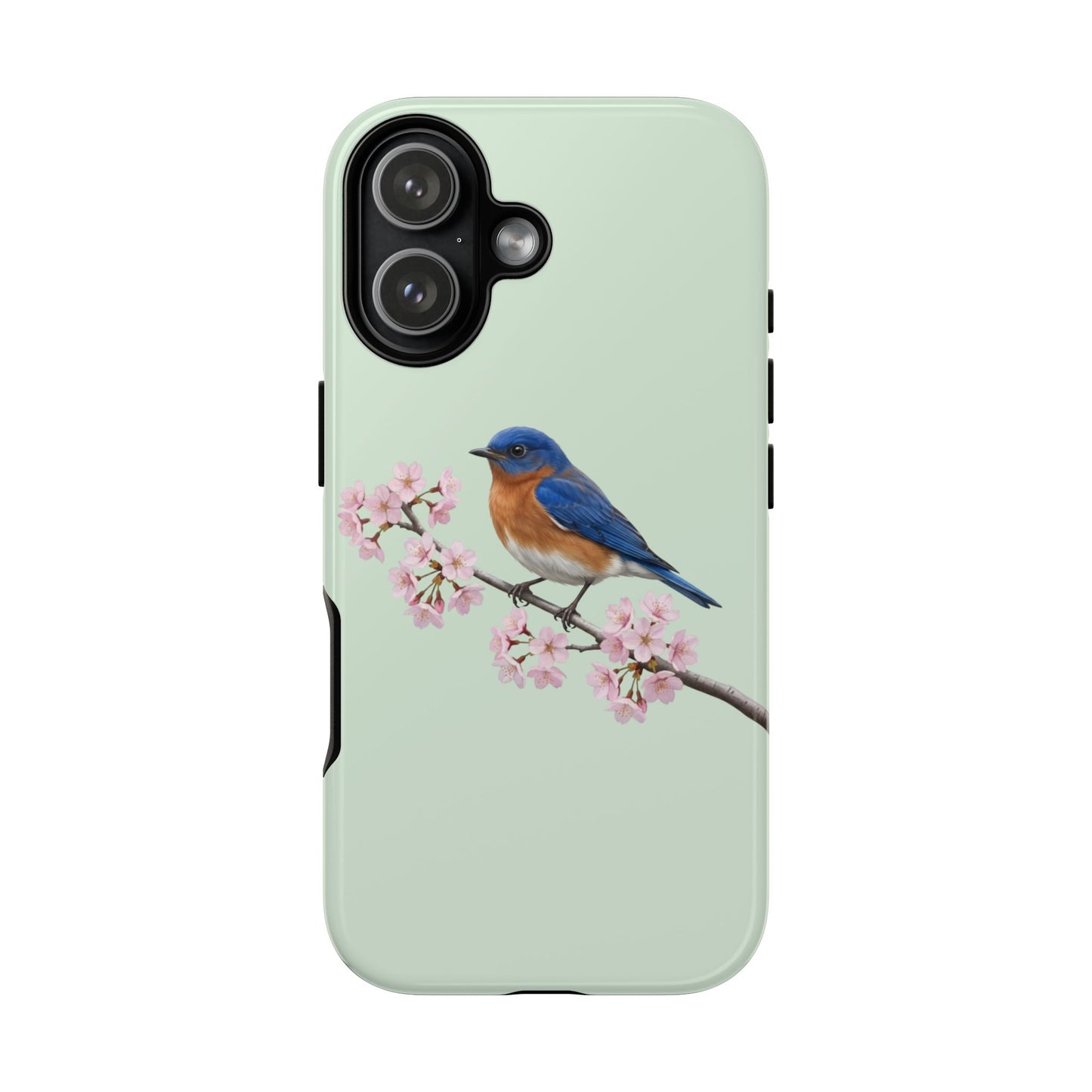 Rotkehl-Hüttensänger Handyhülle in Salbeigrün | Florales Kirschblüten Vogel-Motiv für iPhone & Google Pixel